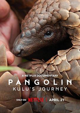 穿山甲Kulu的旅程 Pangolin: Kulu’s Journey插图 穿山甲Kulu的旅程 Pangolin: Kulu’s Journey插图