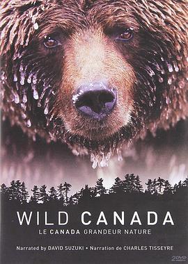 野性加拿大 第一季 Wild Canada Season 1插图 野性加拿大 第一季 Wild Canada Season 1插图