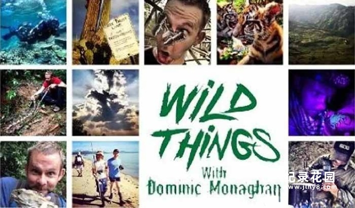 单挑猛兽纪录片《玩命全接触 Wild Things with Dominic Monaghan》第1季全8集中字 纪录片解说素材百度云盘下载 720P/MKV/11.4G插图