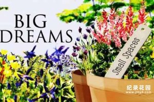 BBC园艺改造纪录片《小花园大梦想 Big Dreams Small Spaces》第1季中字 纪录片解说素材百度云盘下载 1080P/MKV/15.5G