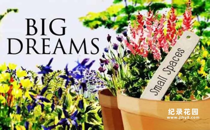 BBC园艺改造纪录片《小花园大梦想 Big Dreams Small Spaces》第1季中字 纪录片解说素材百度云盘下载 1080P/MKV/15.5G插图