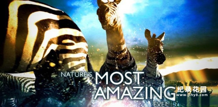 BBC自然生态纪录片《自然界大事件 Nature’s Great Events》全6集 720P/1080i高清纪录片资源百度云盘下载插图