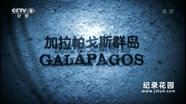 BBC自然生态纪录片《加拉帕戈斯群岛 Galapagos》全3集 720P/1080i高清纪录片资源百度云盘下载插图