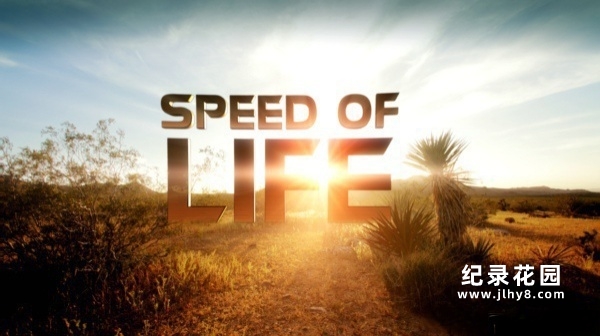 Discovery生命探索纪录片《生命的速度 Speed Of Life》全3集 720P/1080i高清纪录片百度云插图