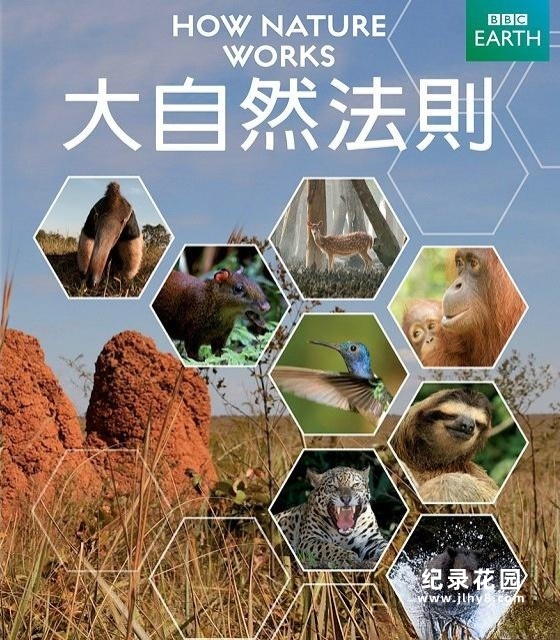 BBC自然生态纪录片《自然的运作 How Nature Works》全4集 720P/1080i高清纪录片百度云插图