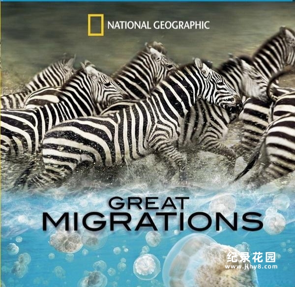 国家地理野生动物纪录片《大迁徙 Great Migrations》全6集 720P/1080i高清纪录片百度云插图