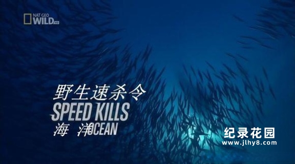 国家地理纪录片《极速猎杀/野生速杀令 Speed Kills》全2季 720P/1080i高清纪录片资源百度云盘下载插图