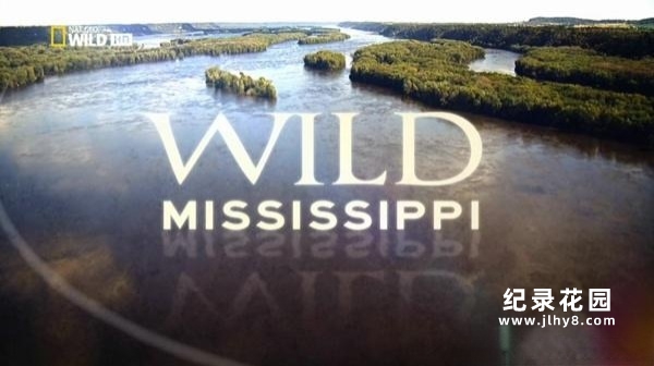 国家地理自然生态纪录片《野性密西西比 Wild Mississippi》全3集 720P/1080i高清纪录片百度云插图