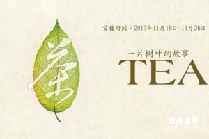 CCTV央视茶文化纪录片《茶, 一片树叶的故事》全6集 720P/1080i高清纪录片资源百度云盘下载