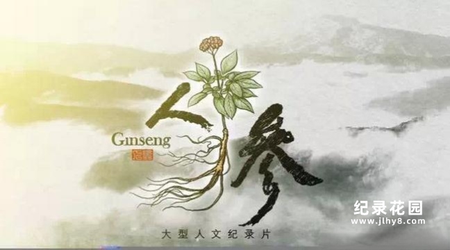 历史人文纪录片《人参 Ginseng》全5集 720P/1080i高清纪录片百度云插图