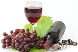 葡萄酒纪录片《葡萄酒指南 Wineworks -Your Complete Video Guide To Wine》全1集 标清纪录片百度云