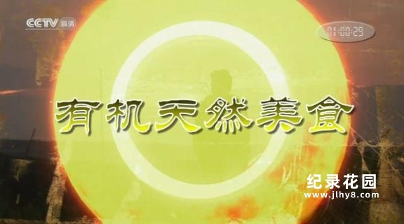 CCTV央视健康美食纪录片《有机天然美食 Under The Sun》全26集 720P/1080i高清纪录片资源百度云盘下载插图