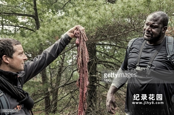 贝爷荒野求生纪录片《越野千里 Running Wild With Bear Grylls》第三季全10集 720P/ 1080i高清纪录片资源百度云盘下载插图1