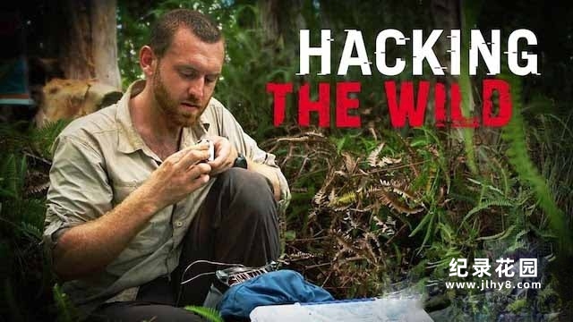 探索频道荒野求生纪录片《求生极客 Hacking the Wild》全6集 720P/1080i高清纪录片资源百度云盘下载插图