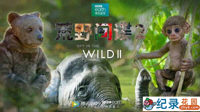 BBC动物间谍纪录片《荒野间谍 Spy in the Wild》第2季 720P/1080i高清纪录片资源百度云盘下载插图