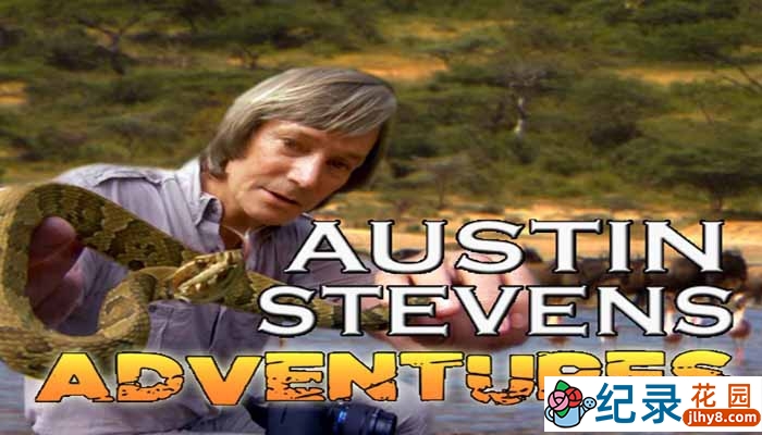 探索频道野生动物纪录片《奥斯汀闯荒野 Austin Stevens Adventures》全12集 720P/1080i高清纪录片百度云下载插图