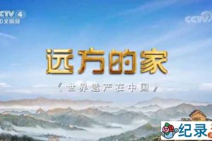 央视旅行纪录片《远方的家 世界遗产在中国》全19集 720P/1080i高清纪录片资源百度云盘下载