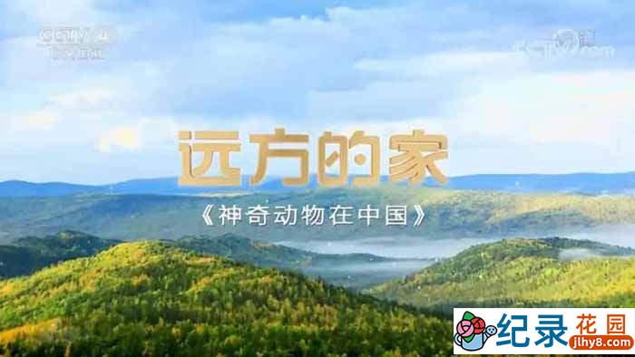 远方的家人文旅行纪录片《神奇动物在中国》第1部10集 1080P高清纪录片资源百度云盘下载插图