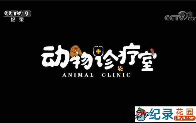 央视宠物医疗纪录片《动物诊疗室 Animal Clinic》全5集 TS/蓝光高清纪录片资源百度云盘下载 永久会员专享资源插图