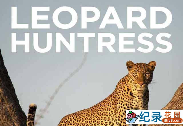 掠食动物纪录片 《花豹玛丽卡的生存之道 Malika Leopard Huntress》全1集中字 TS/蓝光高清纪录片资源百度云盘下载插图