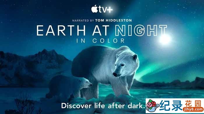 野生动物纪录片《夜色中的地球 Earth at Night in Color》第2季中字 2K/1080i高清纪录片资源百度云盘下载插图