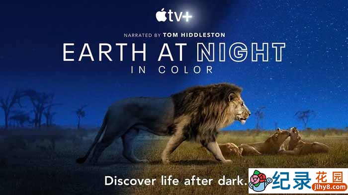 野生动物纪录片《夜色中的地球 Earth at Night in Color》第1季中字 720P/1080i高清纪录片资源百度云盘下载插图