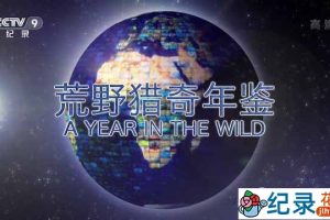 央视气象纪录片《荒野猎奇年鉴 A Year in the Wild》全5集 TS/蓝光高清纪录片资源百度云盘下载