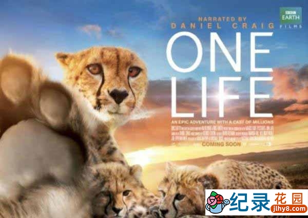 BBC野生动物纪录片《地球生灵 One Life》全1集 720P/1080i高清纪录片资源百度云盘下载插图