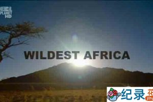 野生动物纪录片《非洲野生大地 Wildest Africa》全13集 720P/1080i高清纪录片资源百度云盘下载