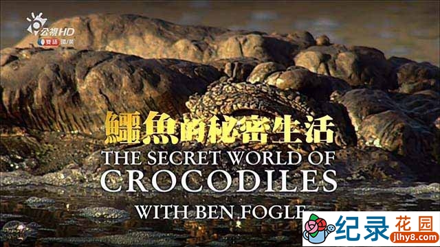 台湾公视HD野生动物纪录片《鳄鱼的秘密生活 The Secret Life of Crocodiles With Ben Fogle》全2集 720P/1080i高清纪录片百度云盘下载插图