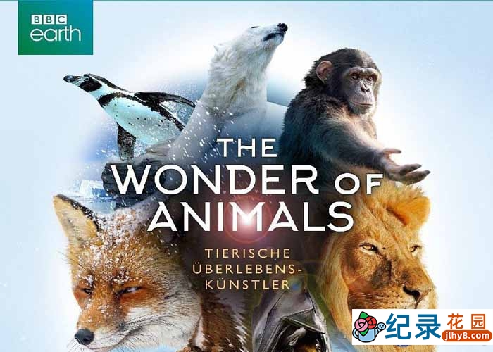 BBC自然生态纪录片《神奇动物大揭秘 The Wonder of Animals》全6集 720P/1080i高清纪录片百度云下载插图