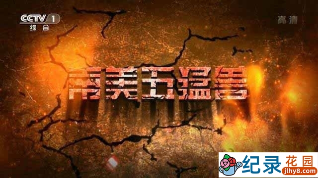 CCTV央视野生动物纪录片《南美五猛兽》全5集 720P/1080i高清纪录片百度云下载插图