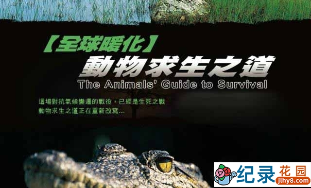 探索频道生命探索纪录片《动物求生之道 The Animals’ Guide to Survival》全7集 720P/1080i高清纪录片百度云下载插图