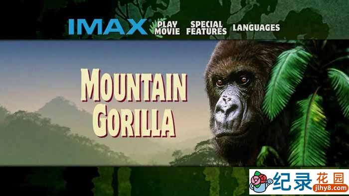 IMAX野生动物纪录片《山地大猩猩 Mountain Gorilla》全1集 720P/1080i高清纪录片百度云下载插图