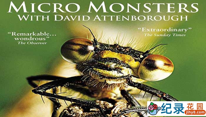 BBC野生动物纪录片《大卫·艾登堡的微型猛兽世界之旅 Micro Monsters》全6集 720P/1080i高清纪录片百度云下载插图