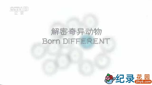 央视生物研究纪录片《解密奇异动物 Born Different》全1集