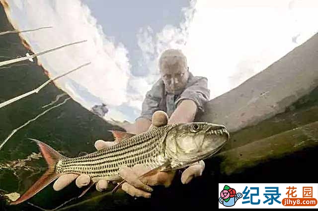 动物星球捕鱼纪录片《河中巨怪 River Monsters》第7季