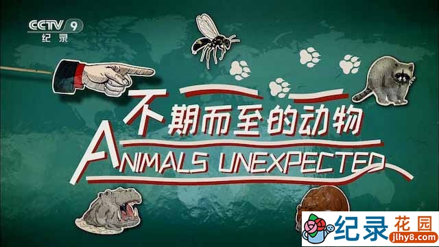 BBC生物入侵纪录片《不期而至的动物 Animals Unexpected》全1集