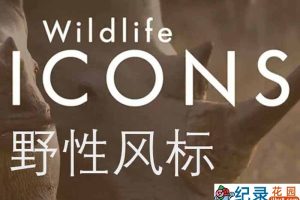 非洲野生动物纪录片《野性风标 Wild Life Icons》第1季中字 1080P纪录片资源百度云盘下载