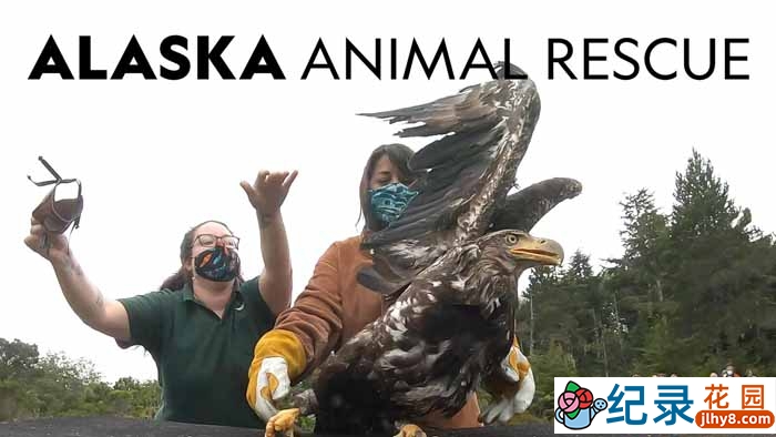 国家地理动物保护纪录片《阿拉斯加野生动物救援 Alaska Animal Rescue》第2季