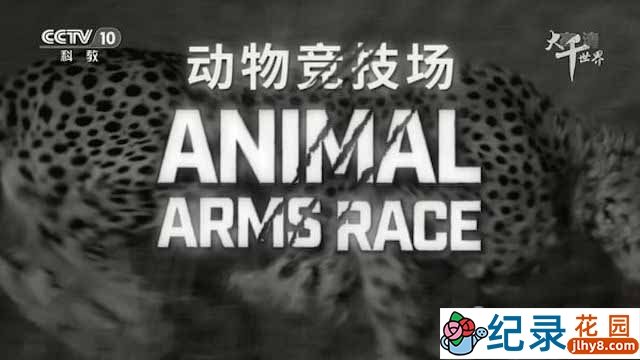 央视捕猎大杀器纪录片《动物竞技场 Animal Arms Race》全3集