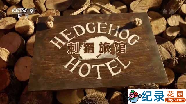 BBC动物行为研究纪录片《刺猬旅馆 Hedgehog Hotel》全1集