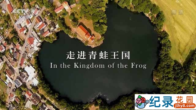 德国两栖动物纪录片《走进青蛙王国 In the Kingdom of the Frog》全1集