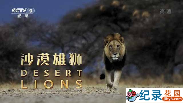 野生动物纪录片《沙漠雄狮 Desert Lions》全1集