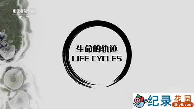 BBC动物研究纪录片《生命的轨迹 Life Cycles》全6集