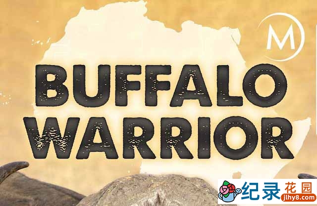 国家地理野生动物研究纪录片《水牛战士 Buffalo Warrior》全1集