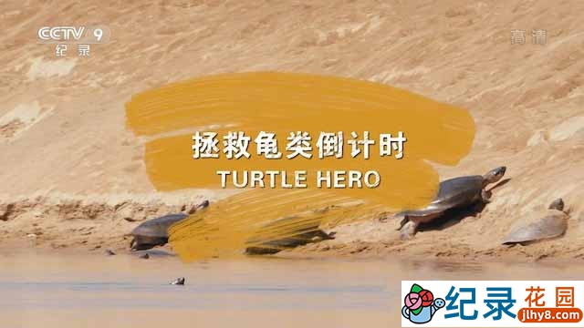 央视动物保护纪录片《拯救乌龟倒计时 Turtle Hero》全1集