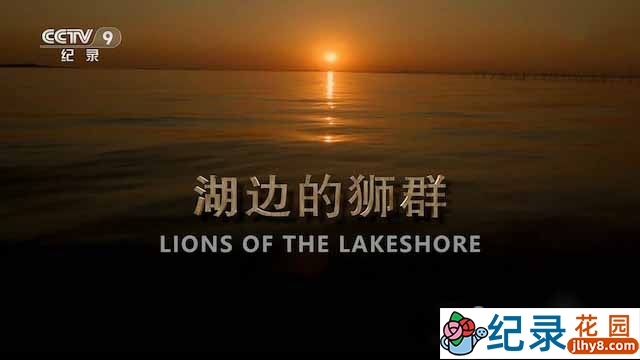 BBC野生动物纪录片《湖边的狮群 Lions of the Lakeshore》全1集