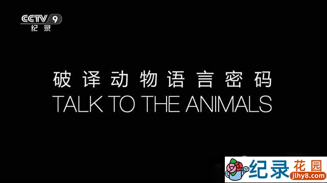 BBC野生动物纪录片《破译动物语言密码 Talk to the Animals》全2集