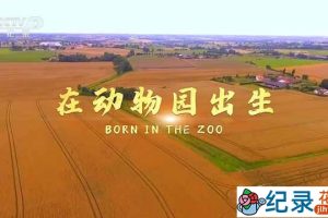 国家地理动物哺育纪录片《在动物园出生 Born in the Zoo》全1集中字 TS/蓝光高清纪录片资源百度云盘下载